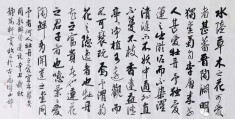 陈志华书法简介(陈志华书法简介图片)