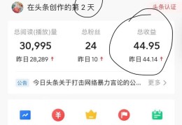 头条发视频怎样才有收益(在今日头条发视频怎样才有收益)