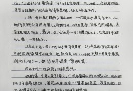 人物小传的基本格式图片(人物小传的基本格式图片大全)