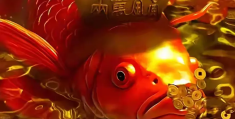 致富经鱼(致富经鱼干加工)
