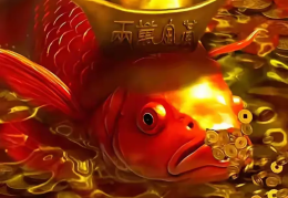 致富经鱼(致富经鱼干加工)