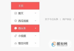 今日头条的微头条功能(今日头条中的微头条是什么意思)