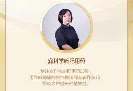 头条优质创作者有没有v(头条优质领域创作者审核要多久)