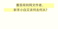 抄小说接单平台app(抄小说接单平台app免费)