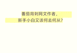 抄小说接单平台app(抄小说接单平台app免费)