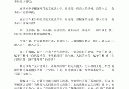 人物传记怎么写300字初中(人物传记怎么写300字初中作文)