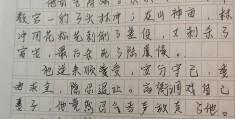 人物小传怎么写300字(人物小传怎么写300字左右)