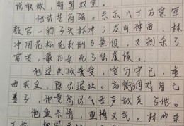 人物小传怎么写300字(人物小传怎么写300字左右)