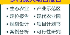 乡村振兴项目汇报(乡村振兴项目汇报材料)