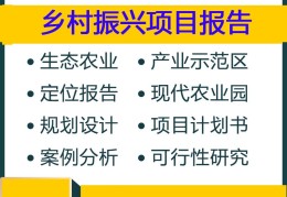 乡村振兴项目汇报(乡村振兴项目汇报材料)