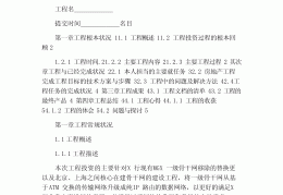 重点项目建设报告(重点项目建设报告怎么写)