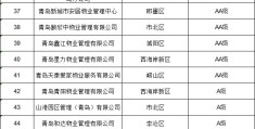 青岛应急管理局长(青岛应急管理局领导班子)
