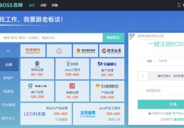 求职招聘的网站有哪些平台(求职招聘的网站有哪些平台好)