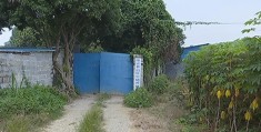 致富经养猪场(致富经养猪大户)