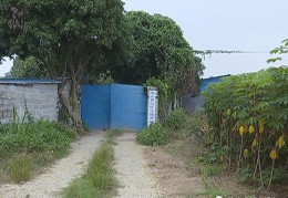 致富经养猪场(致富经养猪大户)