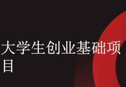 大学生创业基础项目推荐(大学生创业项目模板范文大全)