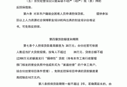创业贷款担保人条件(创业贷担保人能否贷款)