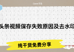 今日头条不能下载视频怎么回事(今日头条不能下载视频怎么回事儿)