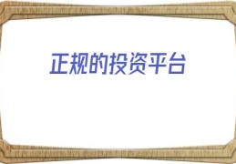正规的投资平台(投资平台)