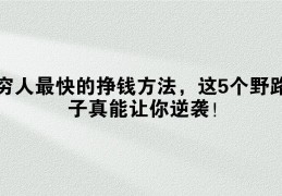 穷人最快的挣钱方法(穷人最快的挣钱方法,18个赚钱快的路子)