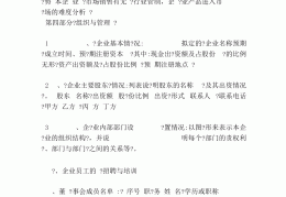 创业计划书4000字以上(创业计划书范文3500字左右)