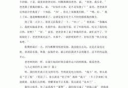 人物描写的优美段落300字作文(关于人物描写的段落300字带欣赏)