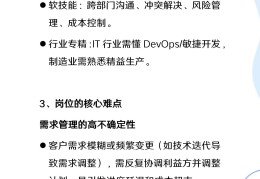 项目经理的职业资格(项目经理的职业资格证书)