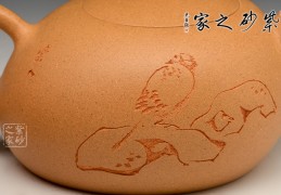 江阴周志君(江阴赵志军简历)
