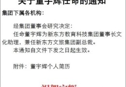 今日头条集团董事长简介(今日头条集团董事长简介是谁)