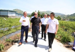 陈志刚个人资料介绍图片高清(陈志刚个人资料介绍图片高清大图)