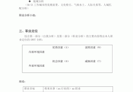 职业生涯规划大赛作品怎么提交(职业生涯规划大赛作品怎么提交的)