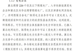 新能源项目规划(新能源项目规划前言)