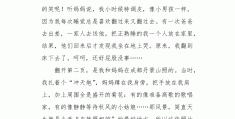 人物传记作文800字(苏轼人物传记作文800字)
