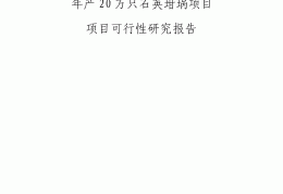 项目可行性报告总论(项目可行性报告包括哪几部分的内容)