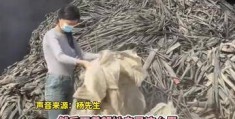 收废品两个月干不下去了(2025年废品回收行业前景)