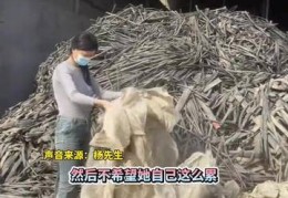 收废品两个月干不下去了(2025年废品回收行业前景)