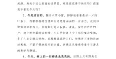 唯美惊艳的段落200字加50感悟怎么写好看又简单的简单介绍
