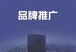 加盟网络推广(网络加盟项目)