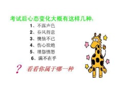 调整心态最快方法(调整心态最快方法文案)
