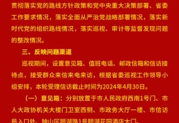 中央巡视组举报电话(广东省中央巡视组举报电话)