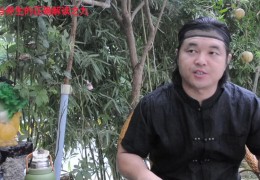 今日头条张志超简介视频(今日头条张志超简介视频大全)