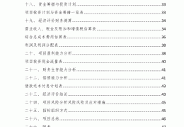 小型项目致富方案设计(小型项目致富方案设计图)