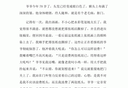 人物传记我的爷爷作文600字(人物传记作文600字初二写爷爷)