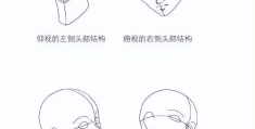画人物头部简单(人物画头部简笔画)