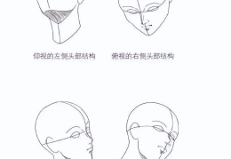 画人物头部简单(人物画头部简笔画)