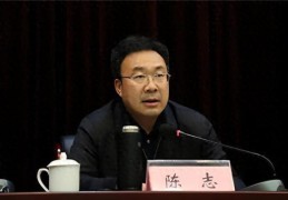 陈志刚的出生日期是哪一年的(陈志刚的出生日期是哪一年的呢)