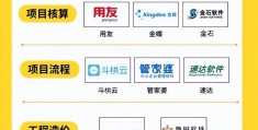 软件项目管理十大领域(软件项目管理十大领域有哪些)