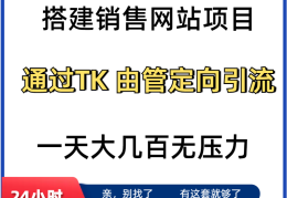 挣钱网站(国外挣钱网站)