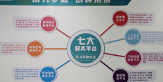 互联网创新创业服务网是什么(互联网+创新创业项目是什么意思)