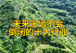 永不倒闭的十八个行业(永不倒闭的十八个行业有哪些)